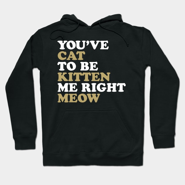 You've Cat to be Kitten me Right Meow Hoodie by nickbuccelli